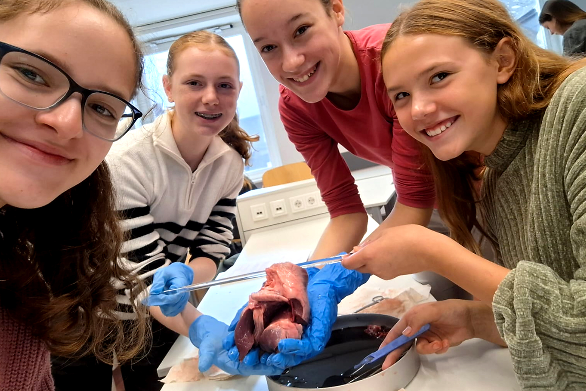 Biologieunterricht zum Anfassen – Klasse 8b seziert Schweineherzen